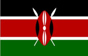 武汉代办肯尼亚商务签证|深耕签证领域15载以上