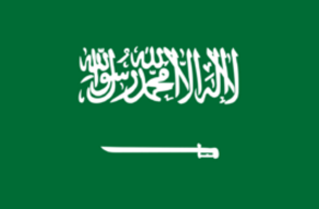 沙特阿拉伯商务签证