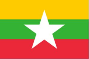 缅甸商务电子签证 70天停留期
