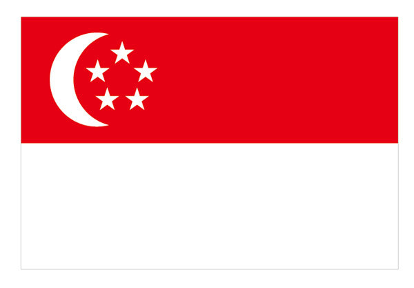 【转移签证】武汉代办新加坡签证转移 新加坡签证转移办理