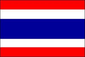 【旅游签证】武汉代办泰国签证机构 2023泰国落地签证流程