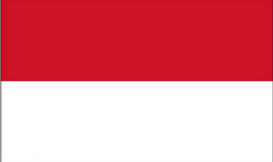 印度尼西亚电子签证代办-4-6天飞速出签
