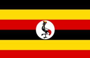 武汉代办乌干达签证|电子签证全国受理