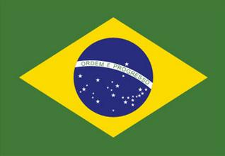 武汉代办巴西商务签证_专业办理各类商务签证