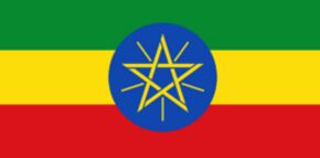 武汉代办埃塞俄比亚商务签证（90天多次）|为顾客提供零风险高质量的服务